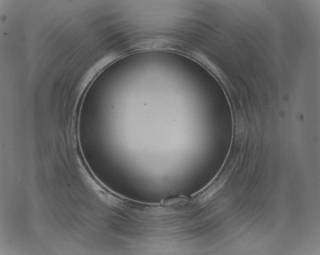 X0000074211434200609081520