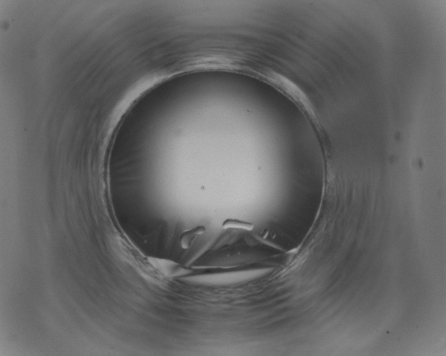 X0000074211435200609081520