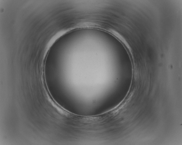 X0000074211437200609081520