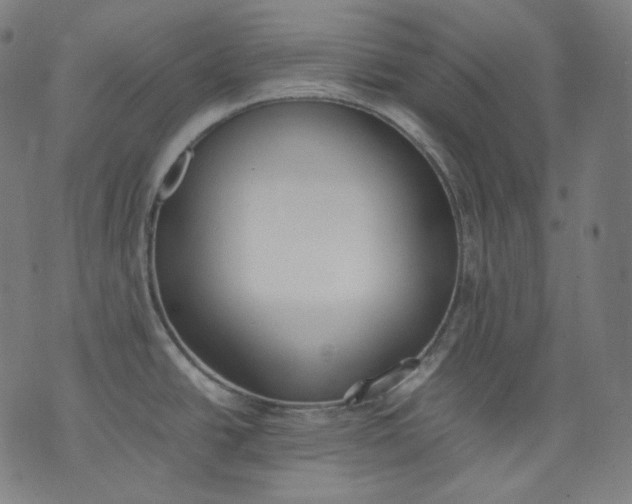 X0000074211438200609081520