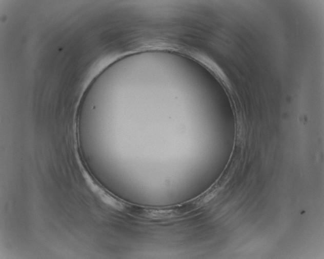 X0000074211439200609081520