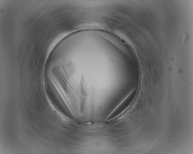 X0000074211440200609081520