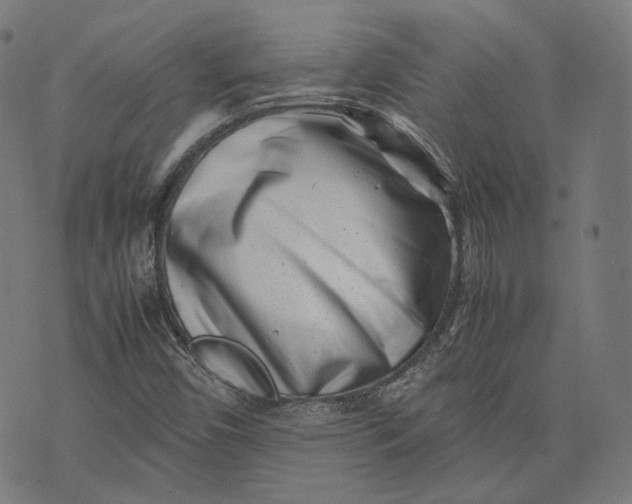 X0000074211450200609081519