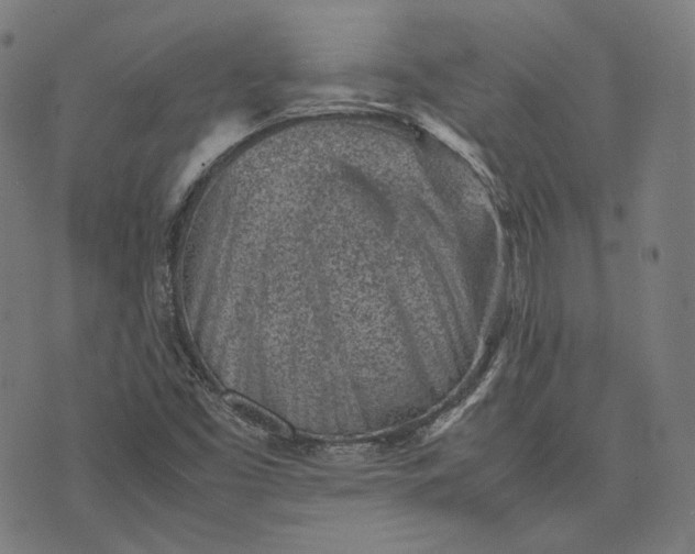 X0000074211453200609081519
