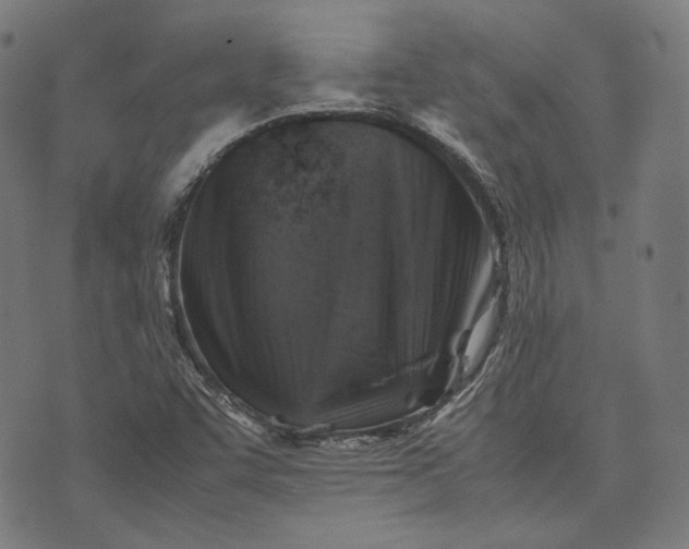 X0000074211455200609081519