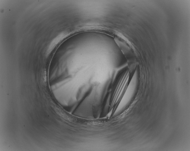X0000074211461200609081519