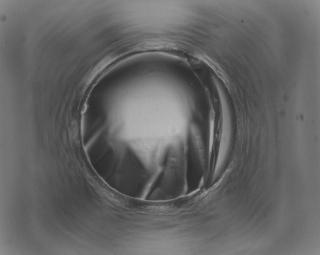 X0000074211465200609081519