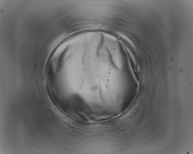 X0000074211467200609081519