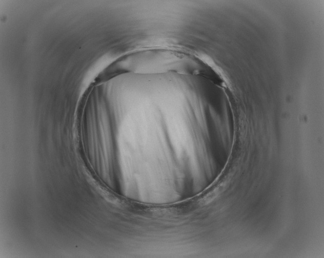X0000074211469200609081519