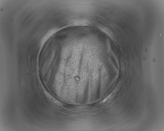 X0000074211471200609081519