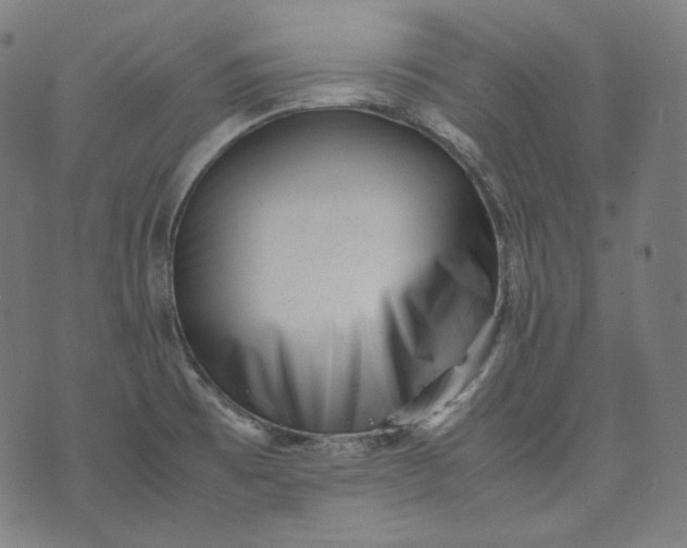 X0000074211473200609081519