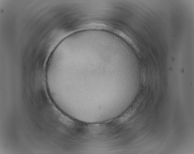 X0000074211478200609081519