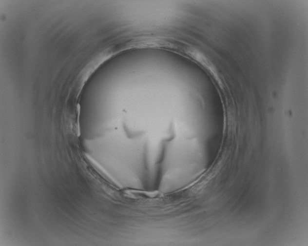 X0000074211481200609081518