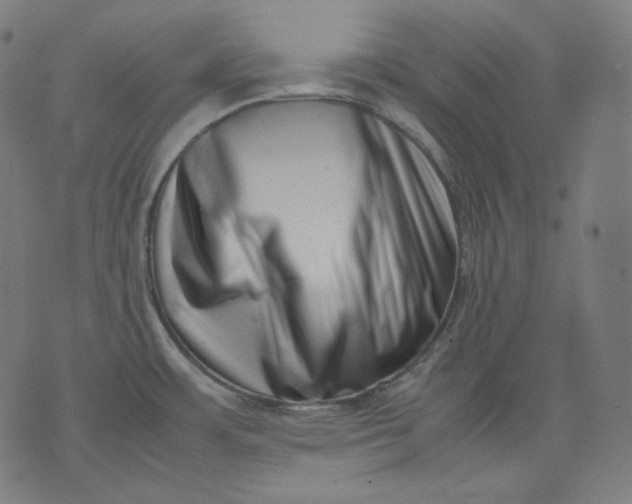 X0000074211483200609081518