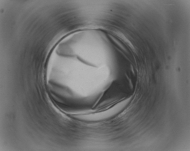 X0000074211484200609081518