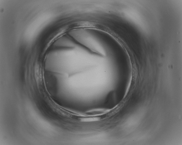 X0000074211487200609081518