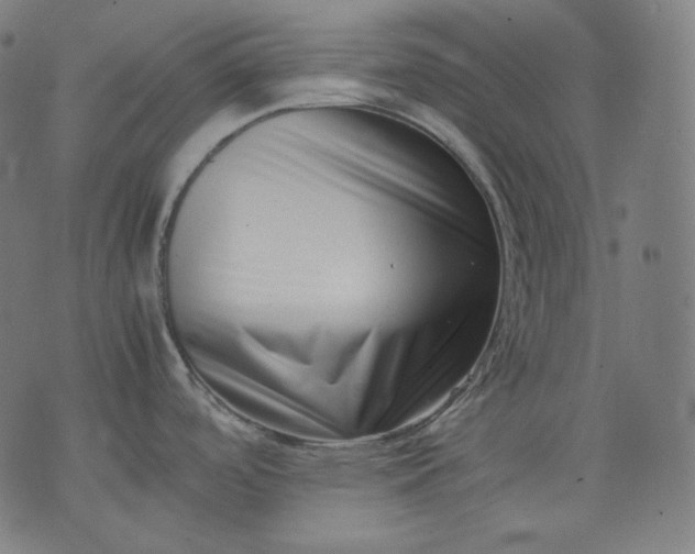 X0000074211488200609081518