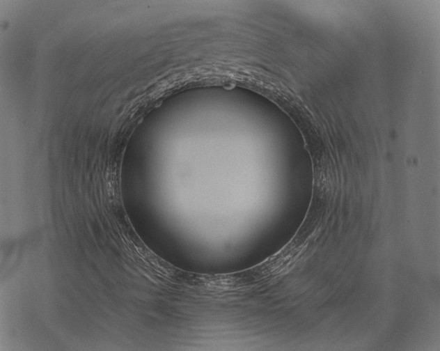 X0000074211490200609081518
