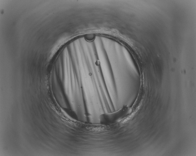 X0000074211501200609081518