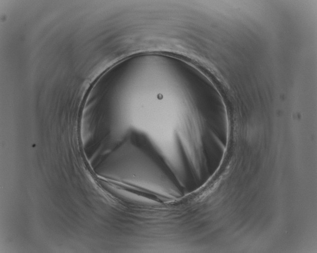 X0000074211513200609081518