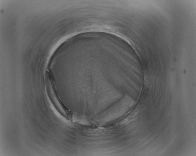 X0000074211515200609081518
