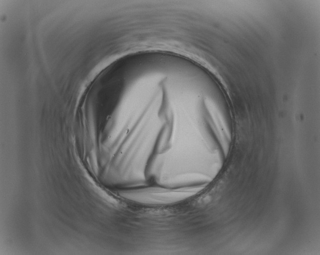 X0000074211525200609081518