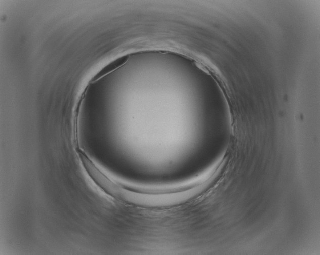 X0000074211528200609081518