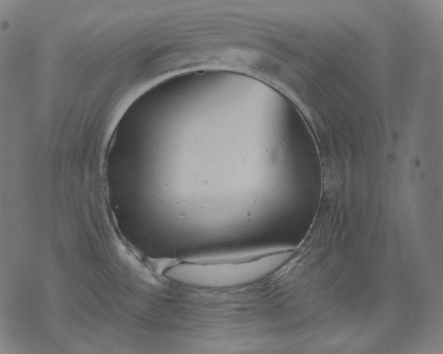 X0000074211532200609081518