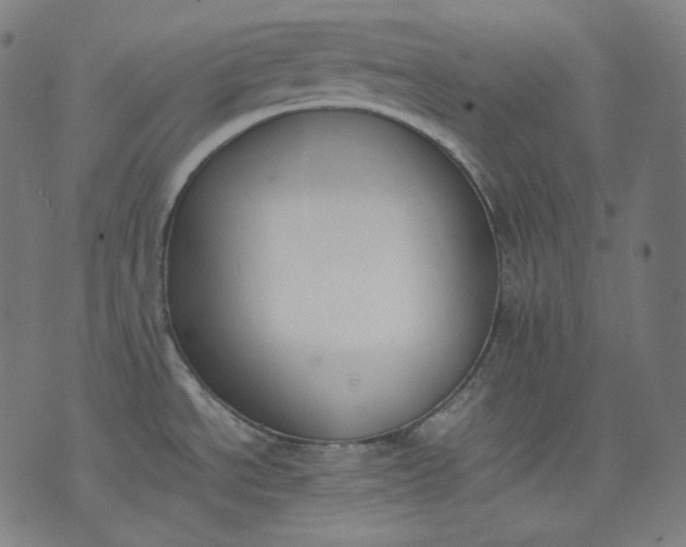 X0000074211534200609081518