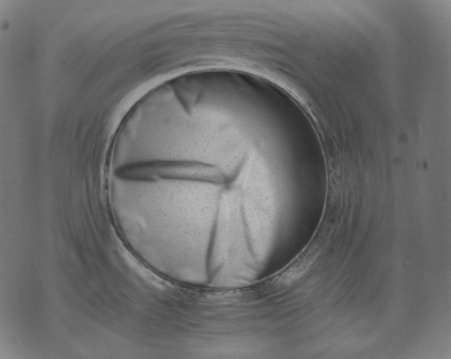 X0000074211535200609081518