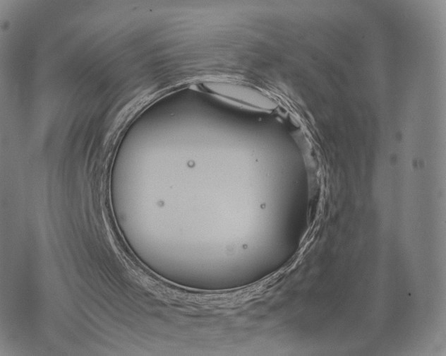 X0000074210001200609151608