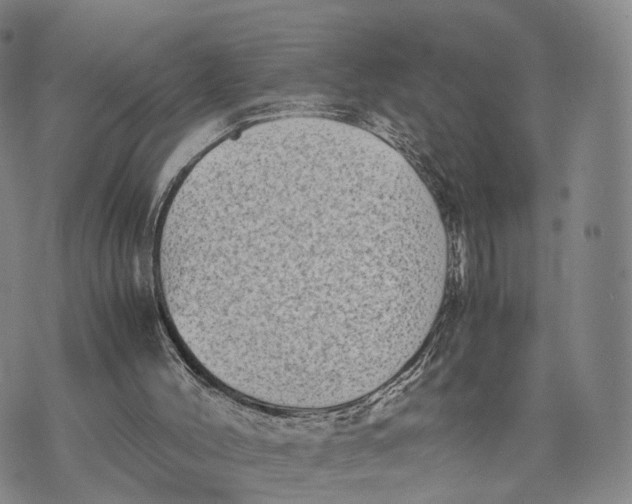 X0000074210004200609151608