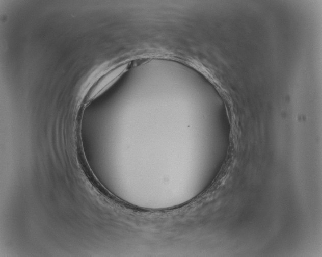 X0000074210007200609151608