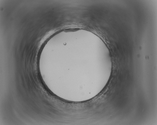 X0000074210008200609151608