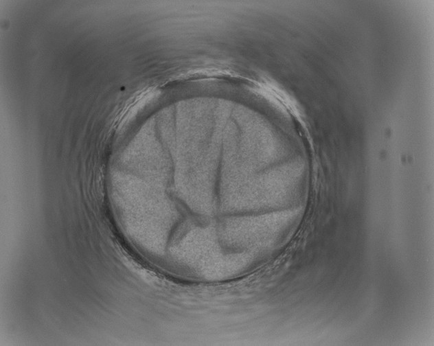 X0000074210009200609151608