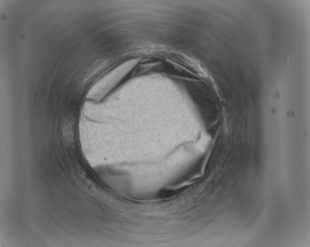 X0000074210010200609151608