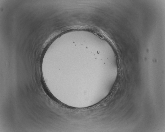 X0000074210011200609151608