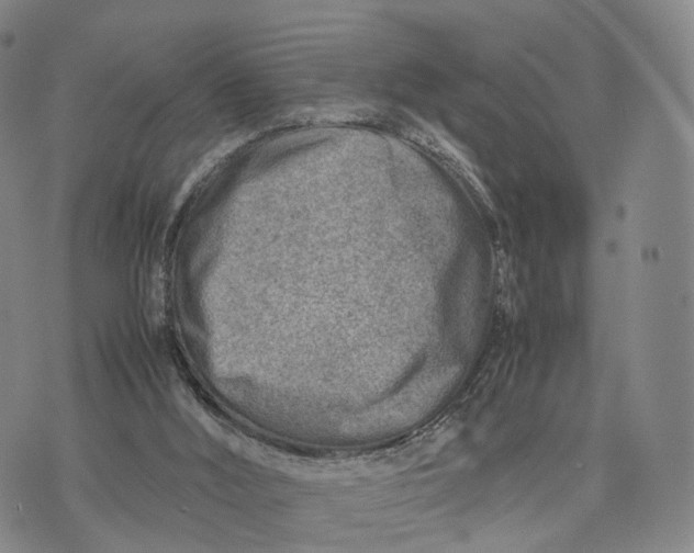 X0000074210012200609151608