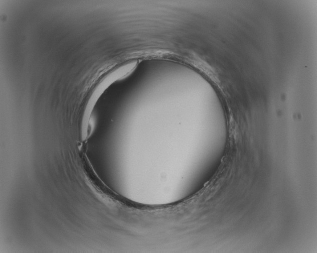 X0000074210013200609151608