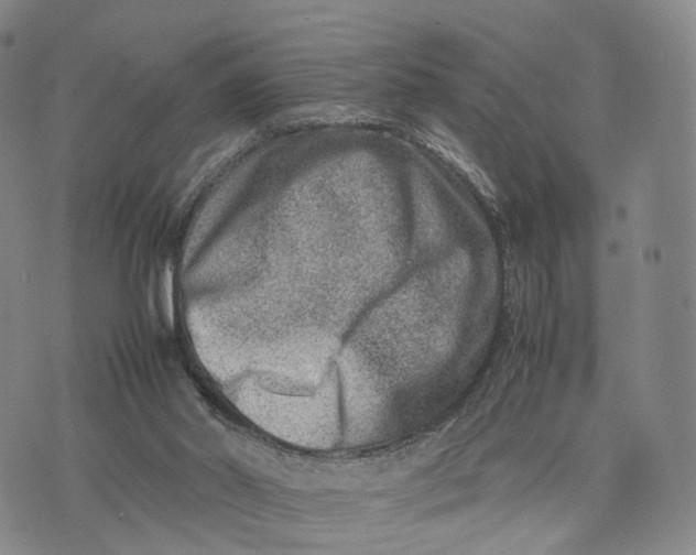 X0000074210014200609151608