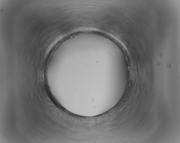 X0000074210015200609151608