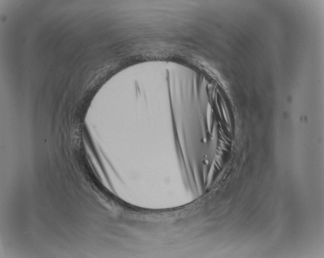 X0000074210017200609151607