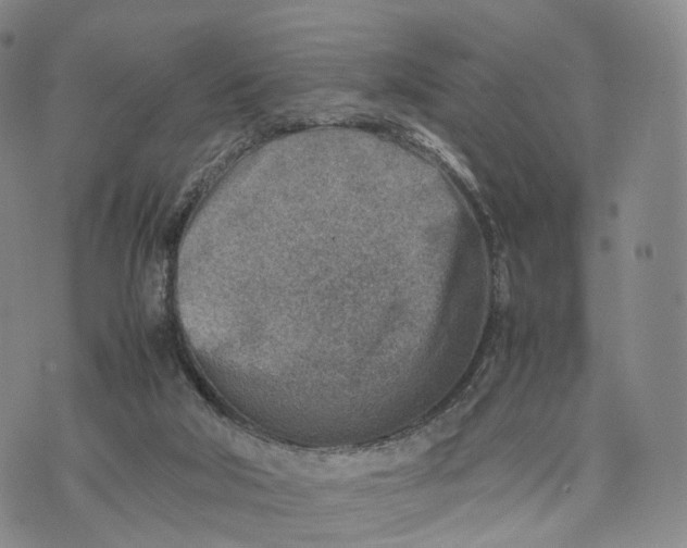 X0000074210018200609151607