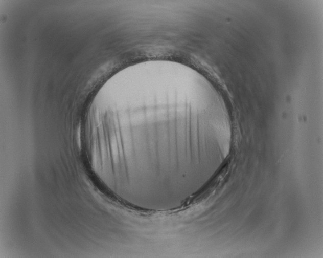 X0000074210019200609151607