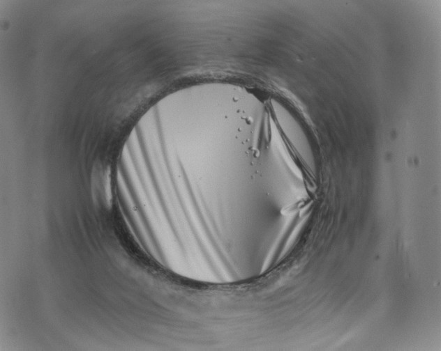 X0000074210020200609151607