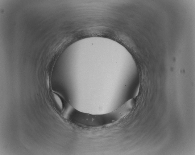 X0000074210021200609151607