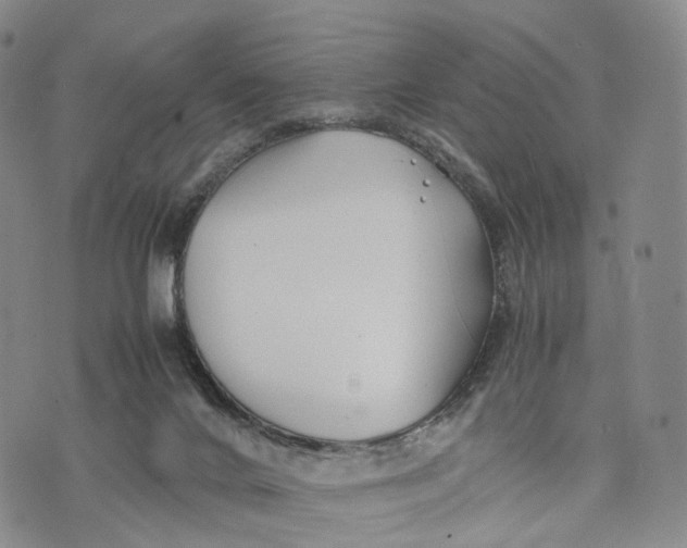 X0000074210024200609151607