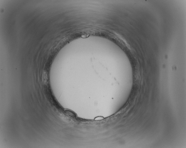 X0000074210025200609151607