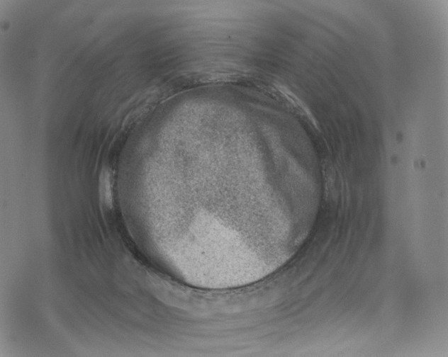 X0000074210026200609151607