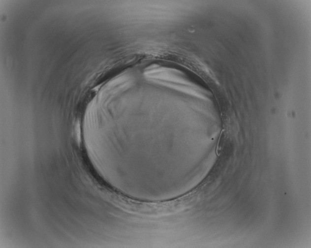 X0000074210027200609151607